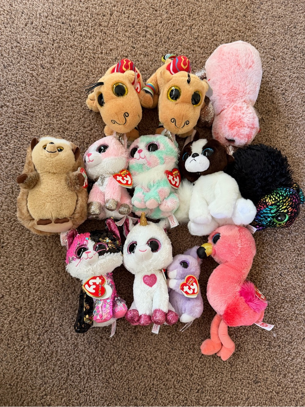 12 TY Beanie Boo Babies See pics All have tags